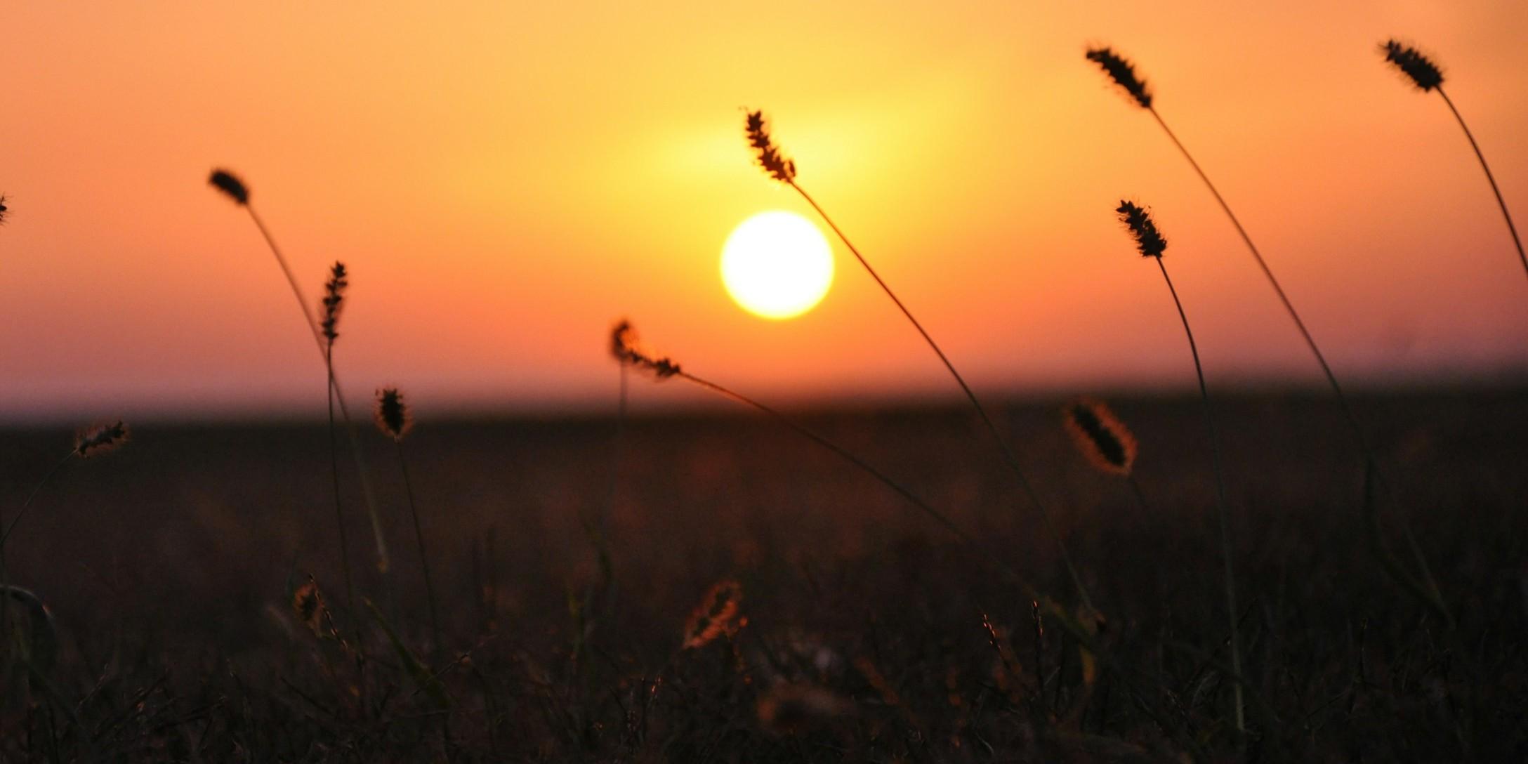 the sun is setting over a field of grass