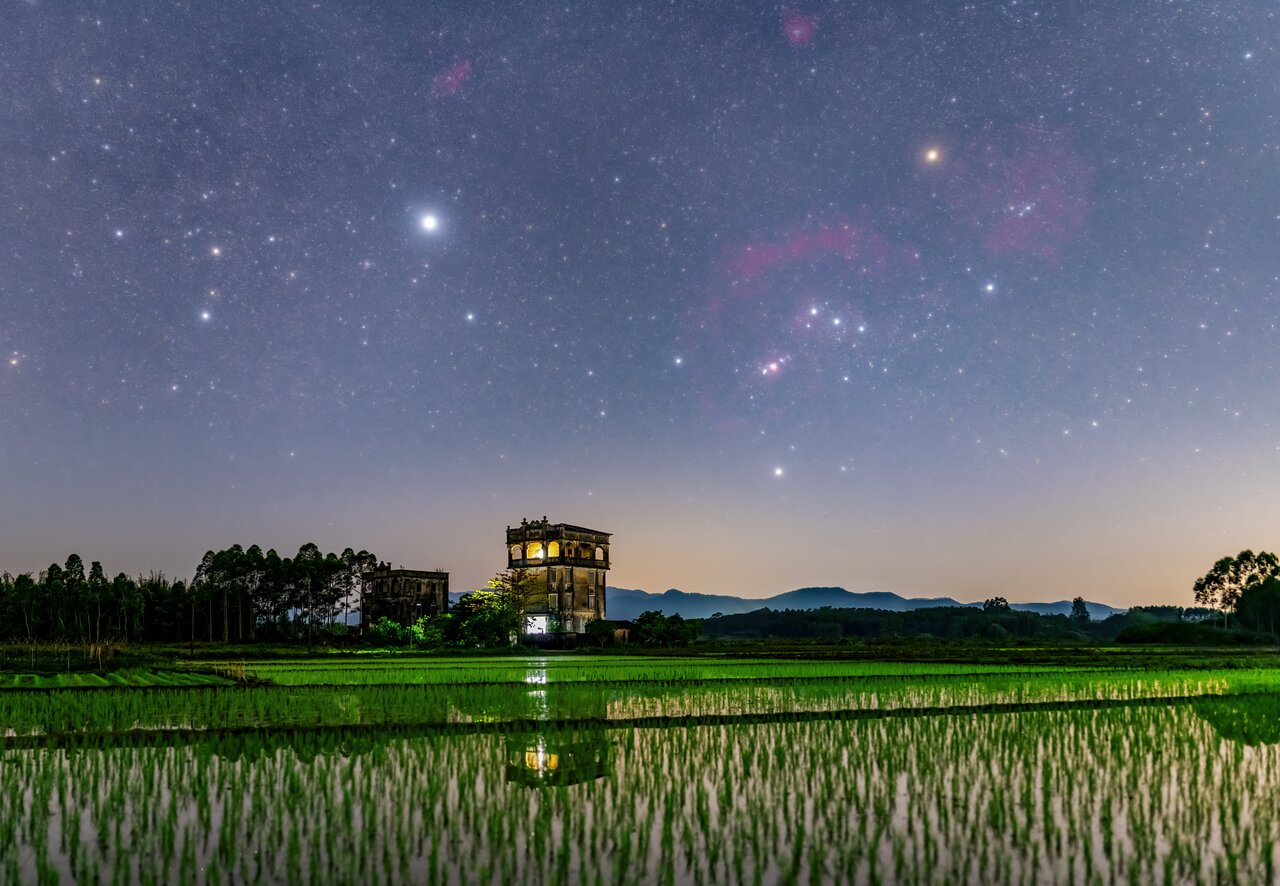 Watchtower and Paddy Fields Under the Starry Sky