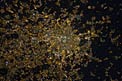 Milan from the ISS in 2012